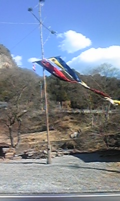 NỉU߂ELɓX