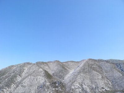 NỉU߂ELɓX