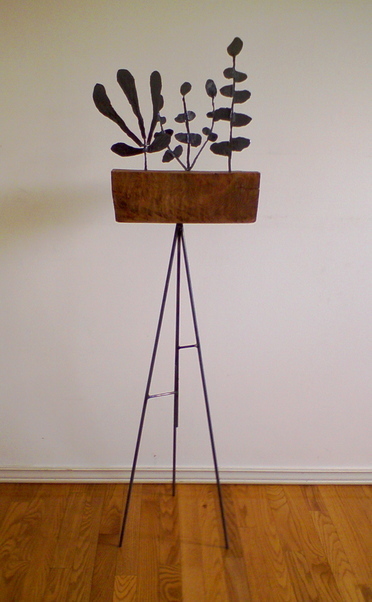 ��쌺�N�@�S�̑��`��i