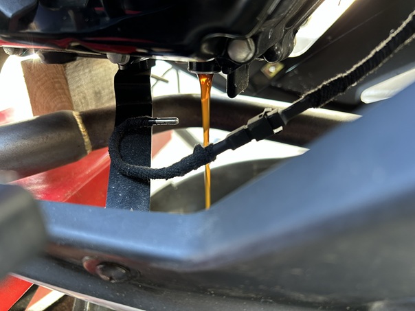 �f�q�n�l�i�i�b�X�Q�j�I�C�������i�x���̖����j