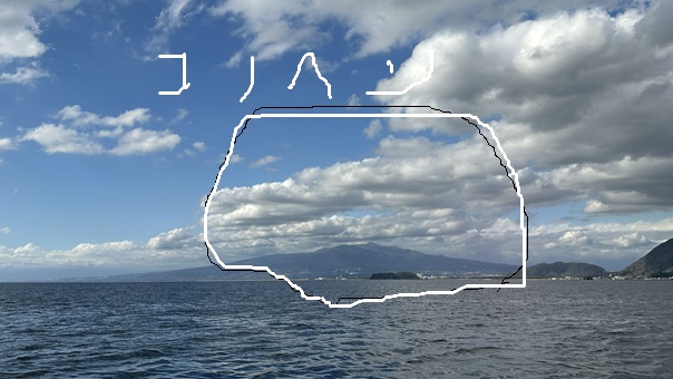 �ŐV�މʏ��i�x���̖����j