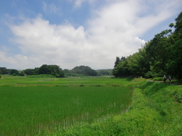 GORIPAPA@L