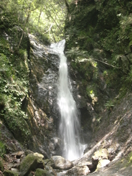 GORIPAPA@L