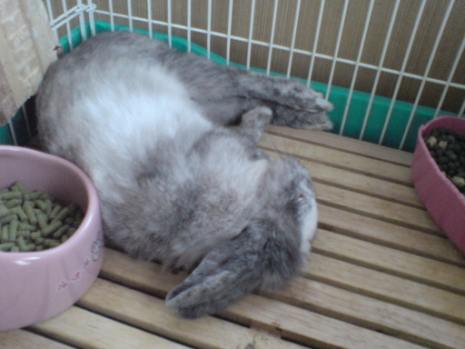 Machine ����[��