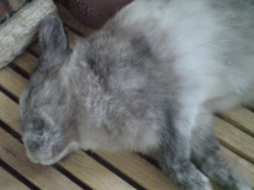 Machine ����[��