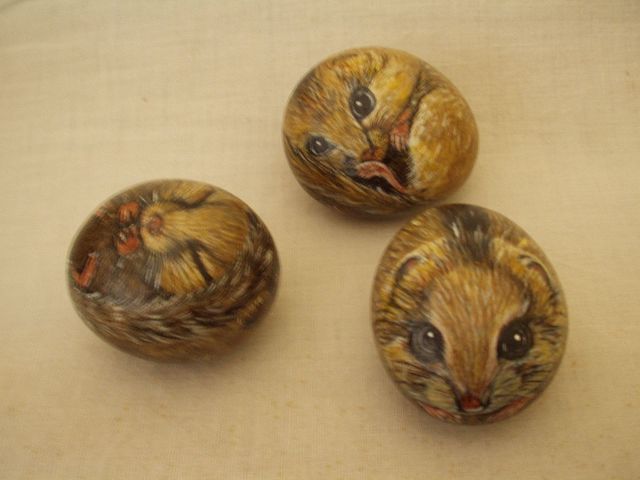 �ΔL�[�Ό��̂����������@���������������� (���勬����j