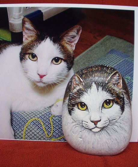 �ΔL�[�Ό��̂����������@���������������� (���勬����j