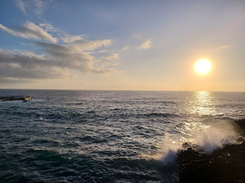 �n���v�e�B�[�E�_���v�e�B�[�i������ނ���`���B�@�@�@  �g�n�nK�i�t�b�N�j ���񂫂傤 �w����x�������ւ悤�����I�I�j