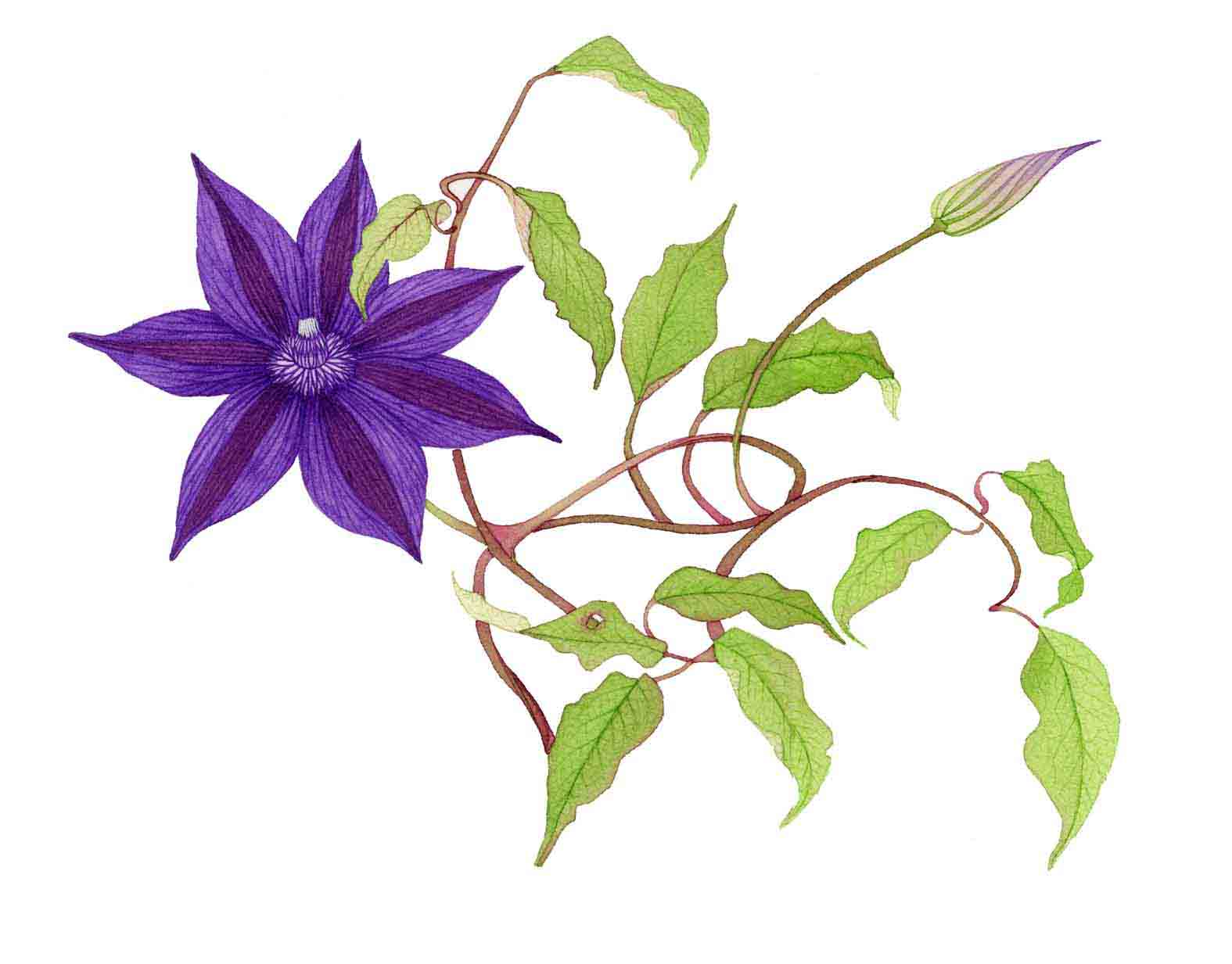 �L�O�����A�[�g�Ł��M�������[�E�r�M��