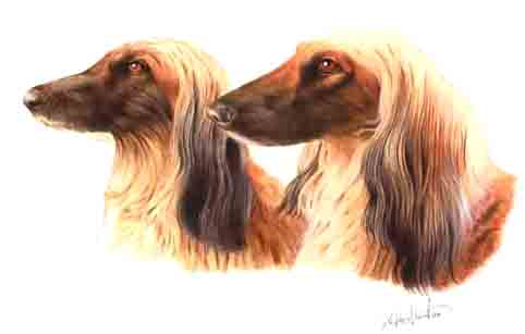 �L�O�����A�[�g�Ł��M�������[�E�r�M��