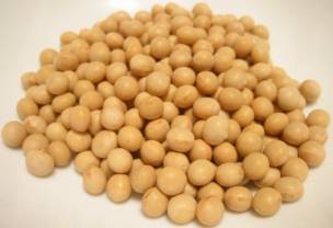 ���N�n�E�X�w�����ƌ��N�́u�H�v����x