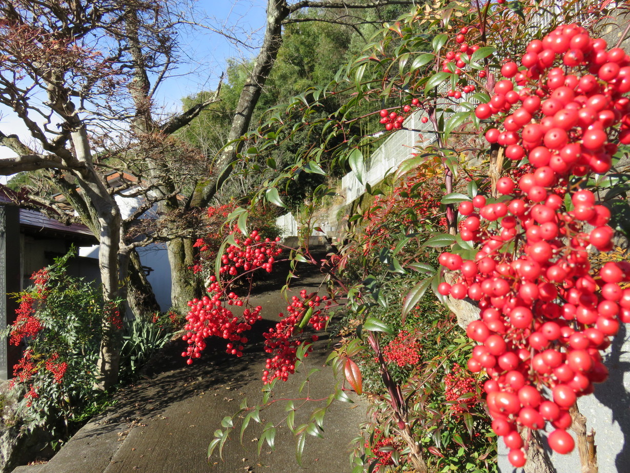 �ߘa8�N�𐨂��̂���N�Ɂi������j