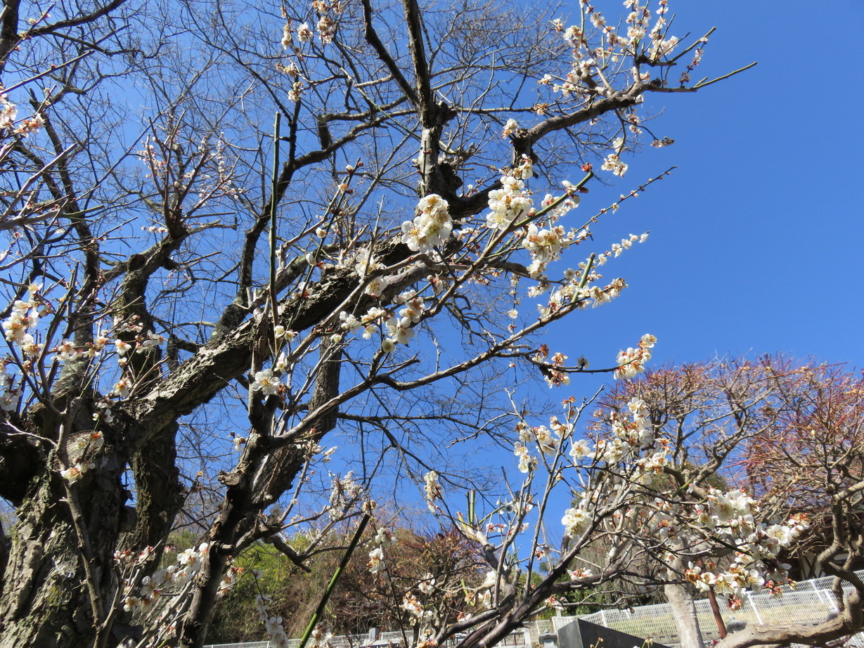 �H�Ɍ���u�l���v�̒n�ɍ݂��āi������j