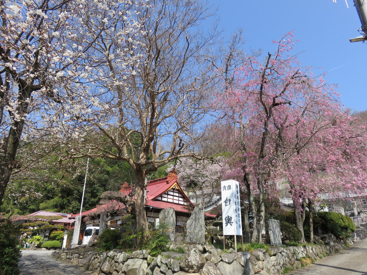 �S�N�O�̉߂����J��Ԃ��ȁi������j