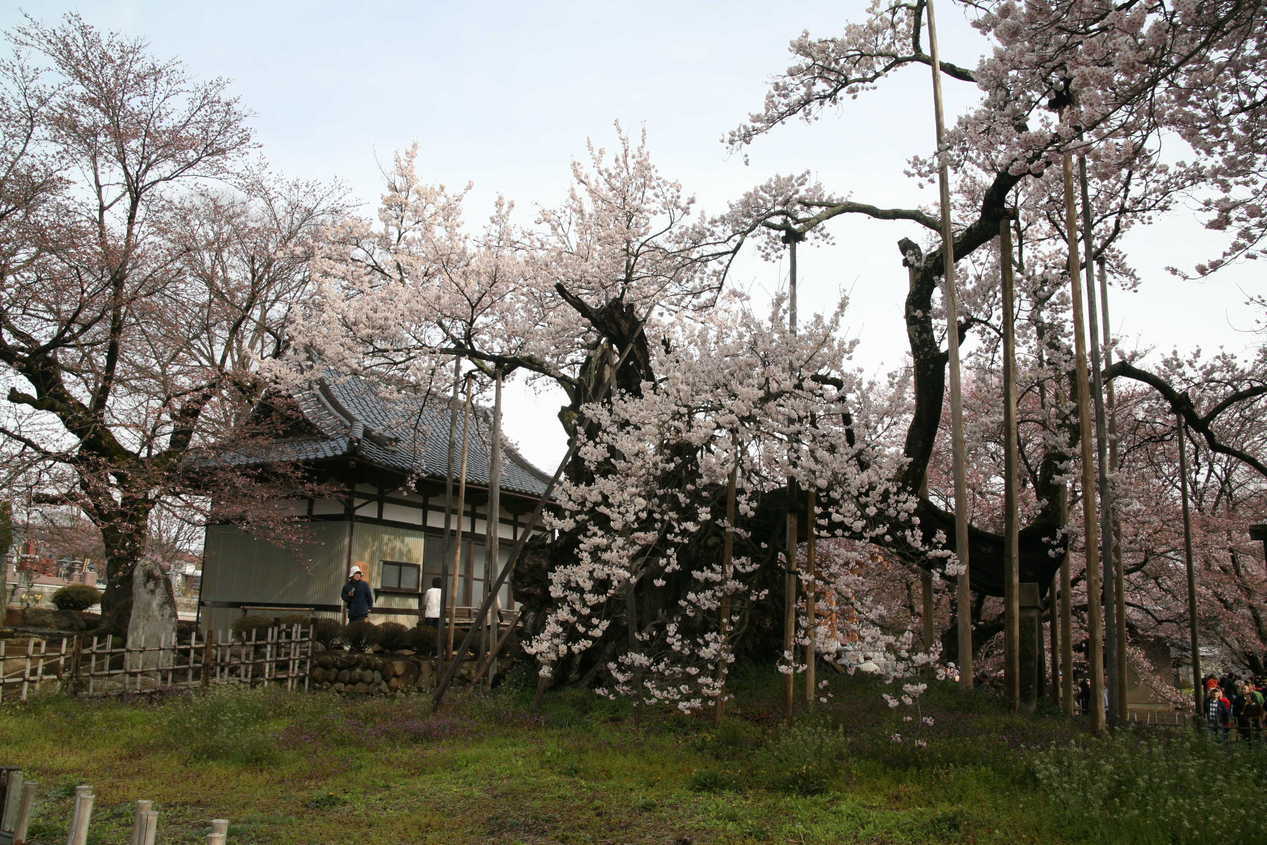 �݂�ȂŌ�����낤��!�` ���S������` �b�㒼�S��(Kai-Jikishinkan)