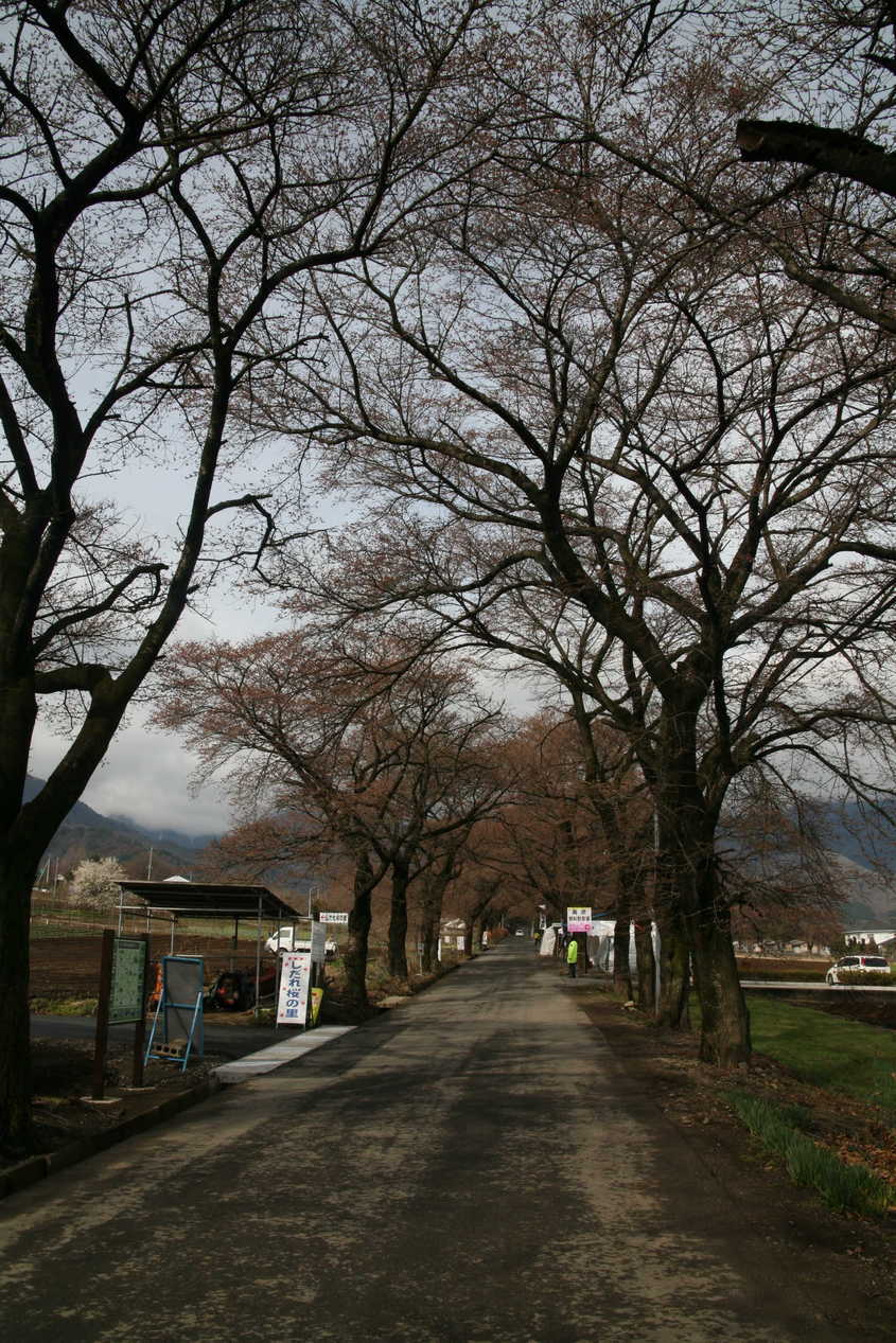 �݂�ȂŌ�����낤��!�` ���S������` �b�㒼�S��(Kai-Jikishinkan)