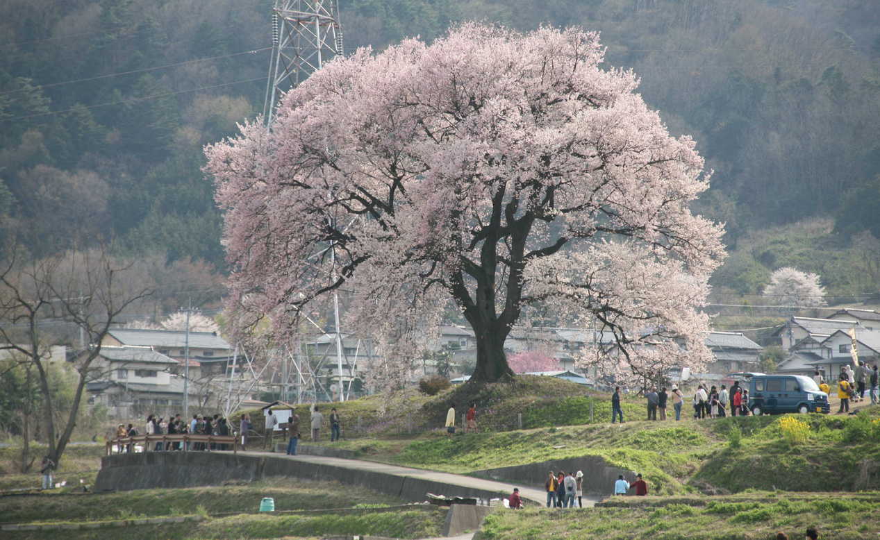 �݂�ȂŌ�����낤��!�` ���S������` �b�㒼�S��(Kai-Jikishinkan)