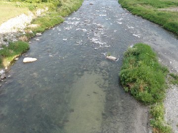 ������̈����@�w�F���@����x