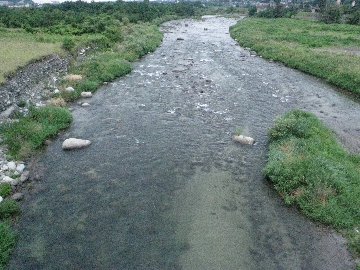 ������̈����@�w�F���@����x