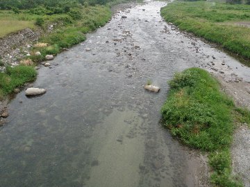 ������̈����@�w�F���@����x