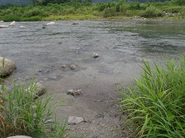 ������̈����@�w�F���@����x