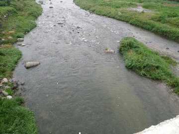 ������̈����@�w�F���@����x