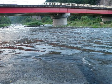 ������̈����@�w�F���@����x