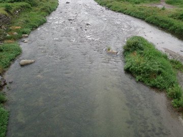 ������̈����@�w�F���@����x