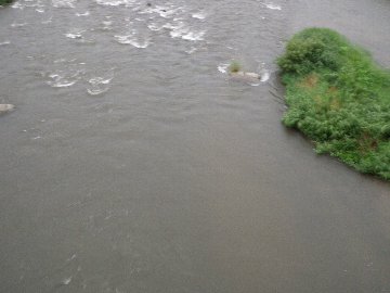 ������̈����@�w�F���@����x