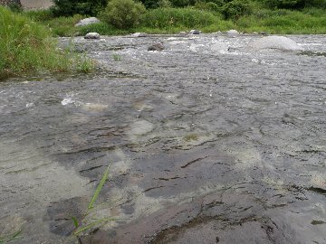 ������̈����@�w�F���@����x