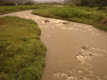 ������̈����@�w�F���@����x