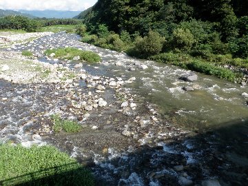 ������̈����@�w�F���@����x