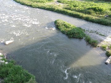 ������̈����@�w�F���@����x