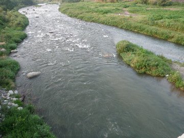 ������̈����@�w�F���@����x