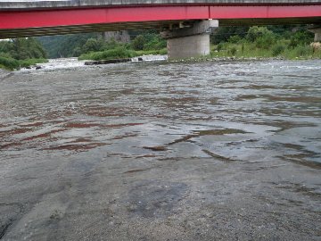 ������̈����@�w�F���@����x