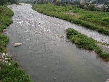 ������̈����@�w�F���@����x