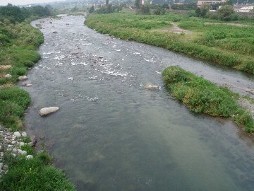 ������̈����@�w�F���@����x