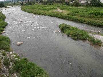 ������̈����@�w�F���@����x