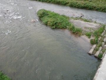 ������̈����@�w�F���@����x