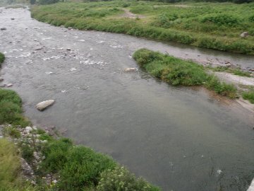 ������̈����@�w�F���@����x