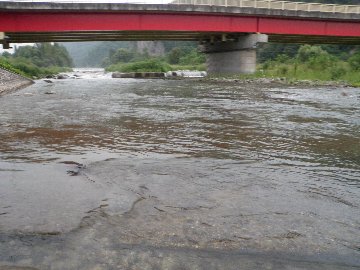 ������̈����@�w�F���@����x