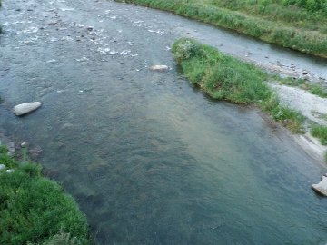 ������̈����@�w�F���@����x