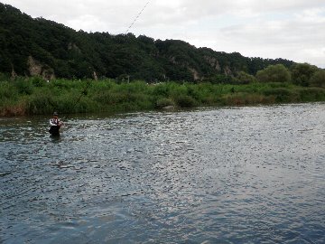 ������̈����@�w�F���@����x