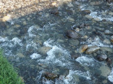 ������̈����@�w�F���@����x