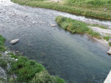 ������̈����@�w�F���@����x