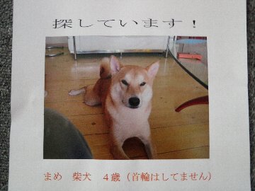 ������̈����@�w�F���@����x