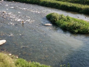 ������̈����@�w�F���@����x