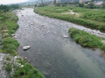 ������̈����@�w�F���@����x