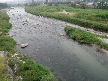 ������̈����@�w�F���@����x