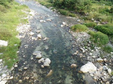 ������̈����@�w�F���@����x